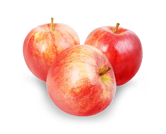 Яблуко Гала відбірне