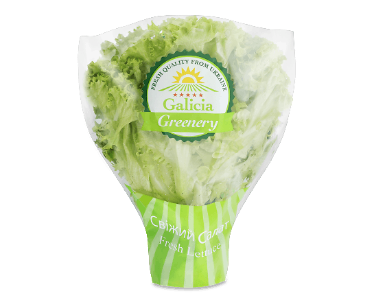 Салат Galicia Greenery лолло-біонда